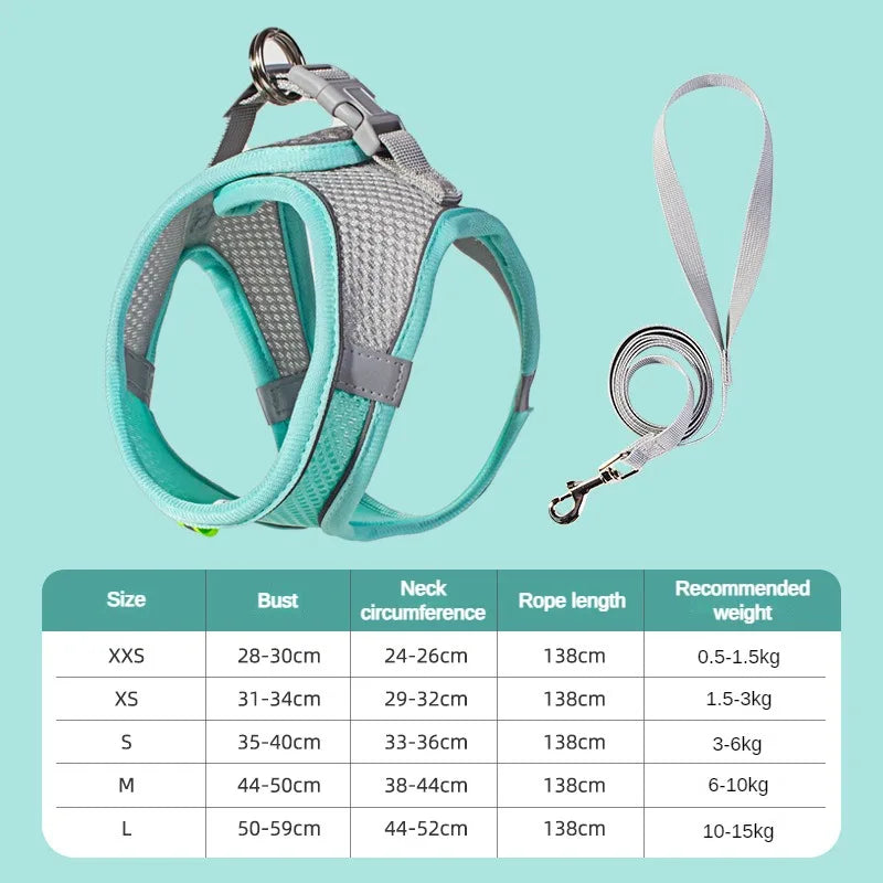 EasyWalk Pro