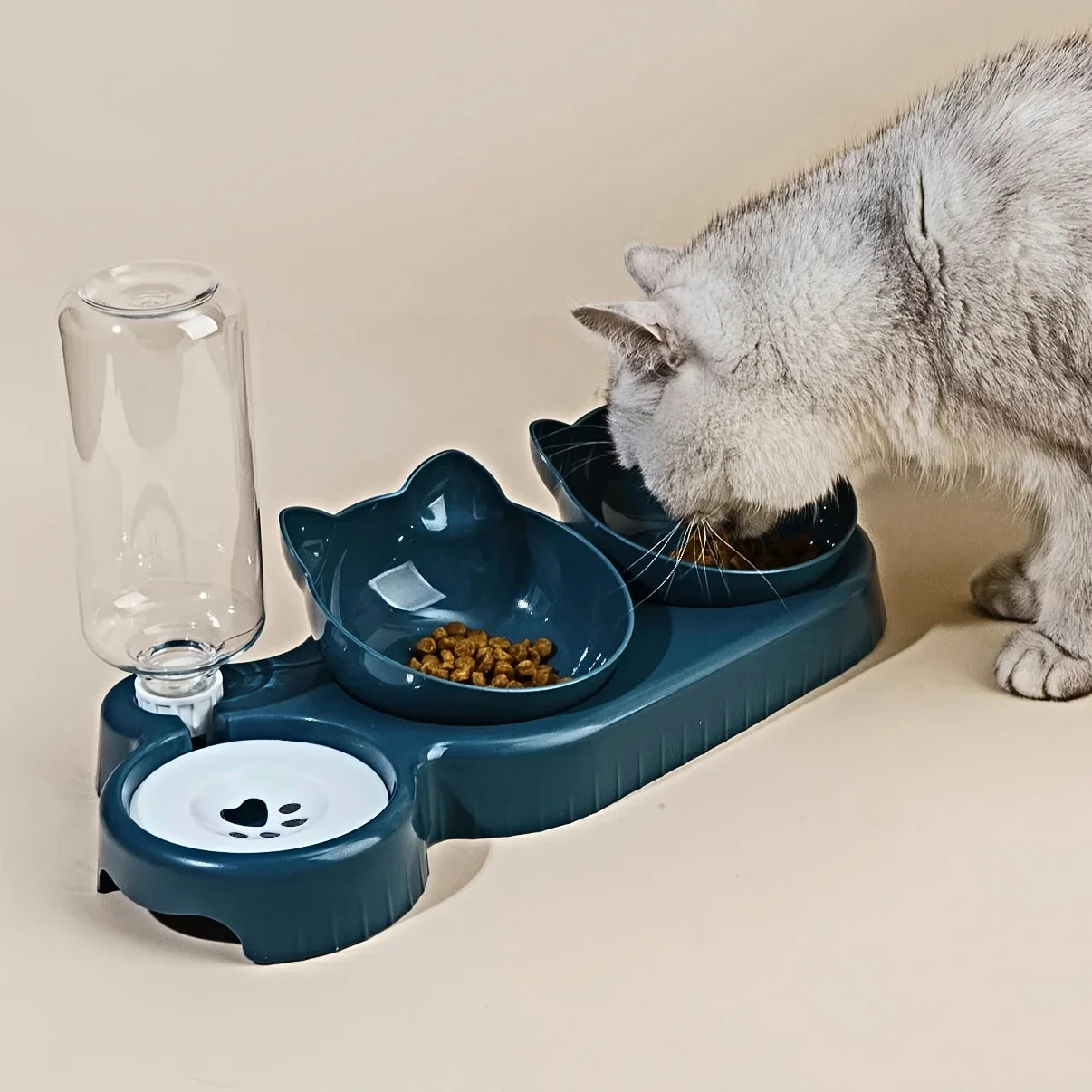 3-in-1 Cat Bowl with Water Feeder