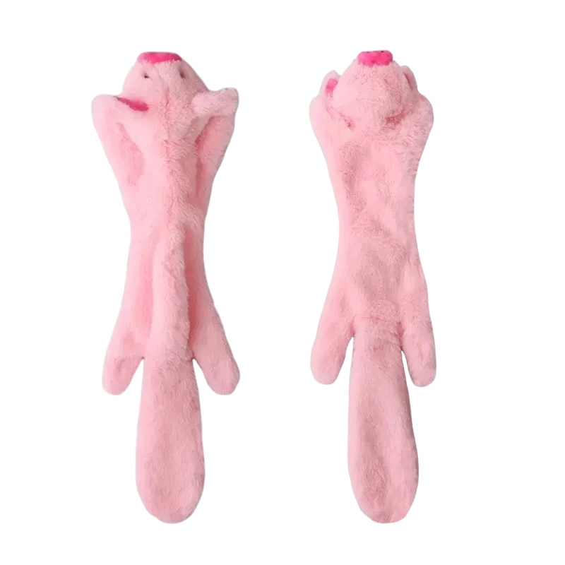 Stuffing-Free Squeaky Dog Toy