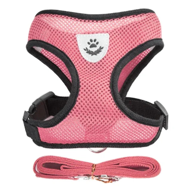 Adjustable Pet Harness & Lead Set