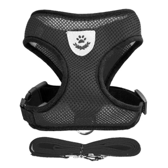 Adjustable Pet Harness & Lead Set