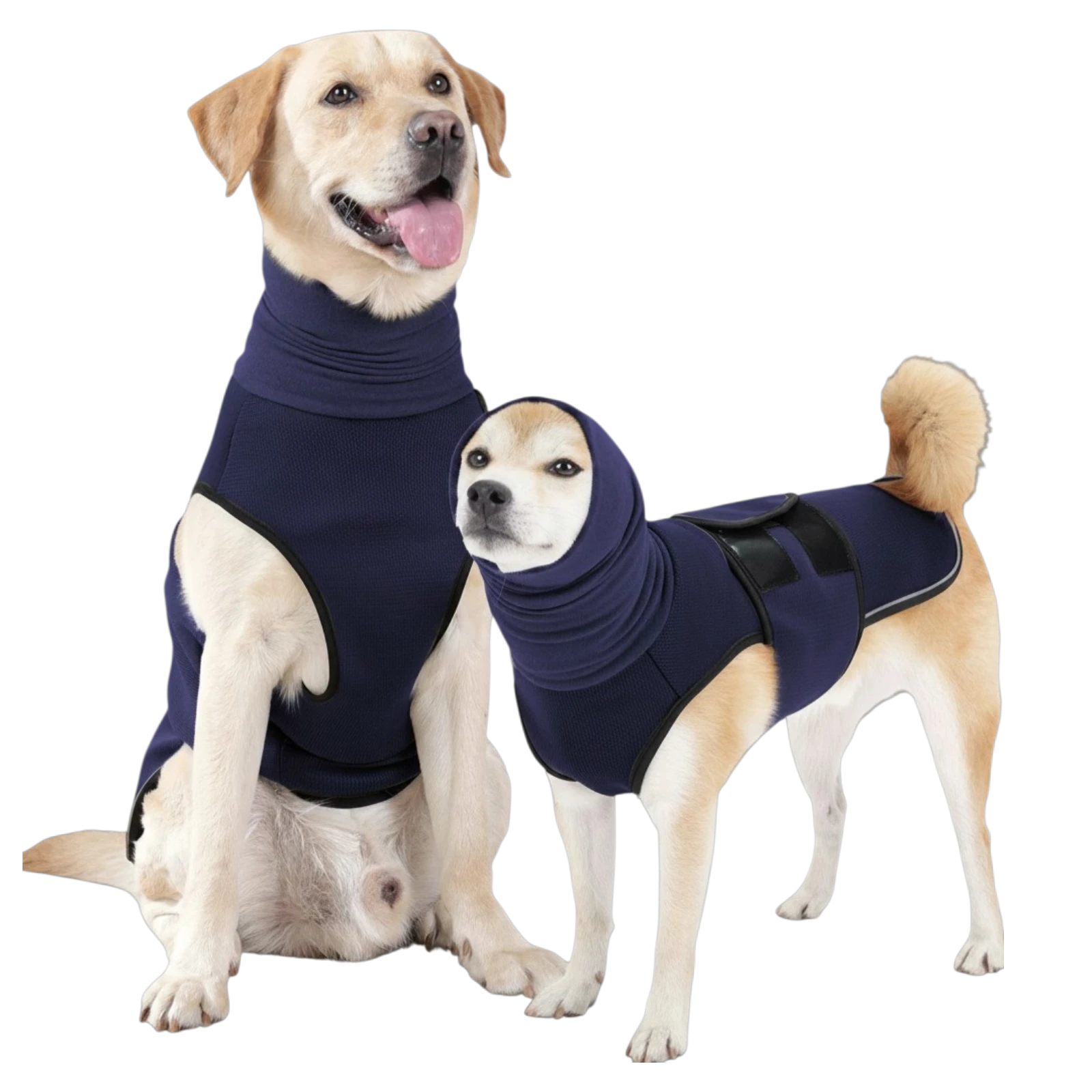 CalmWrap — Anxiety Vest for Dogs