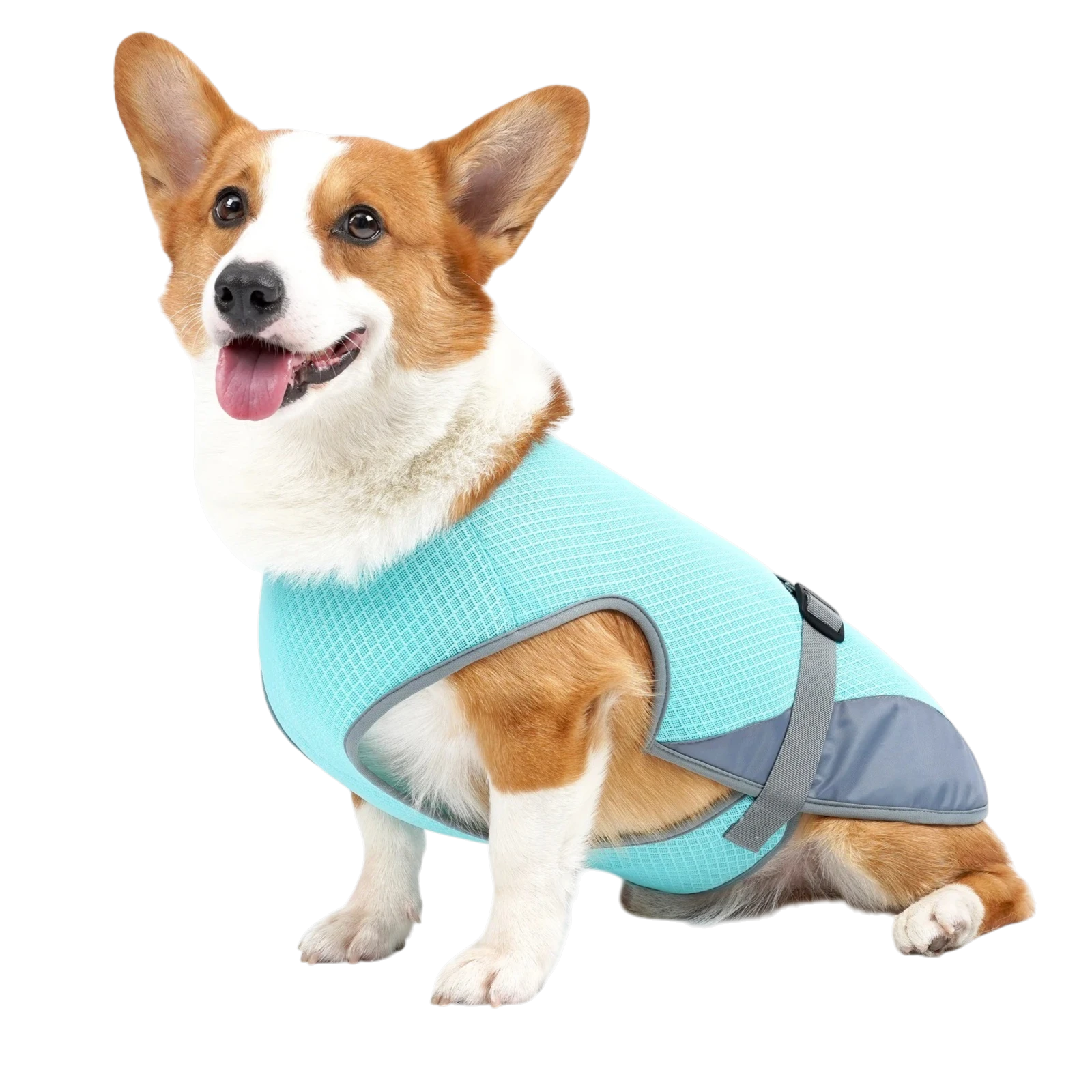 ChillVest — Cooling Dog Vest