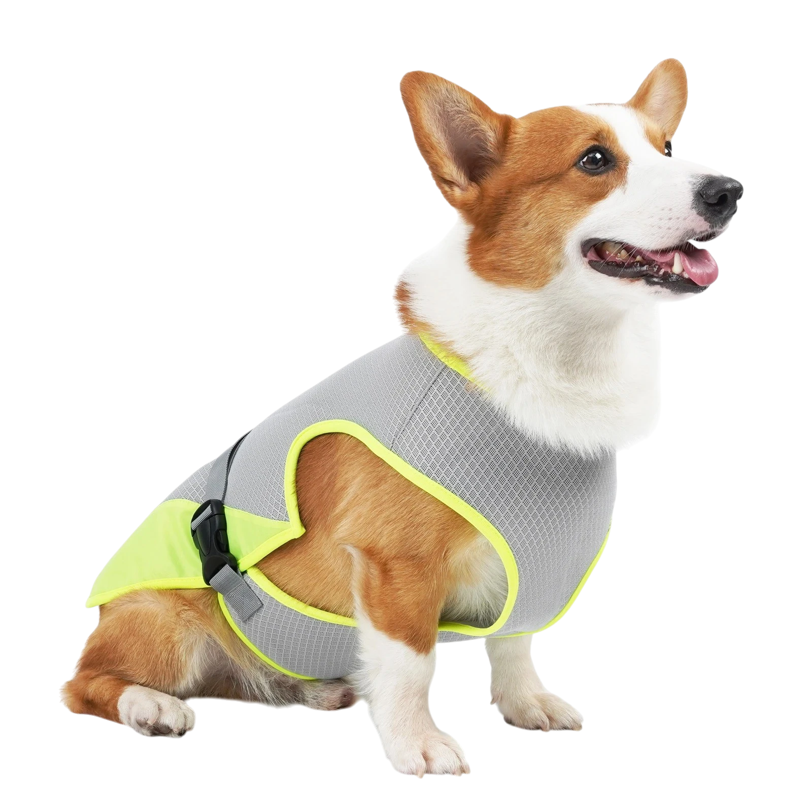 ChillVest — Cooling Dog Vest