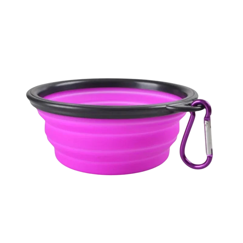 Collapsible Travel Pet Bowl