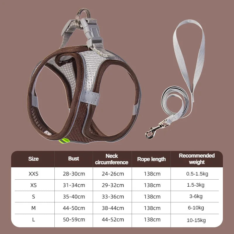 EasyWalk Pro