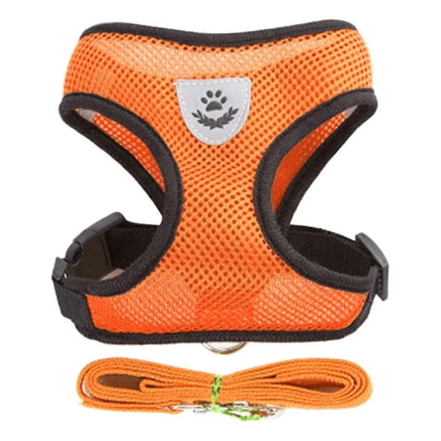 Adjustable Pet Harness & Lead Set