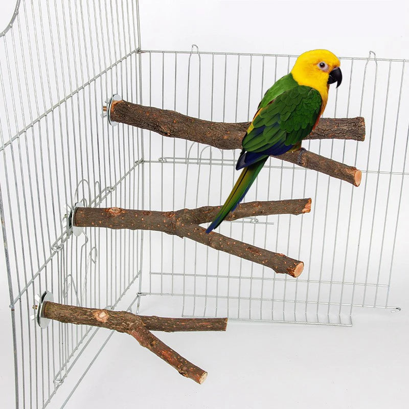 Natural Wood Bird Perch Branch