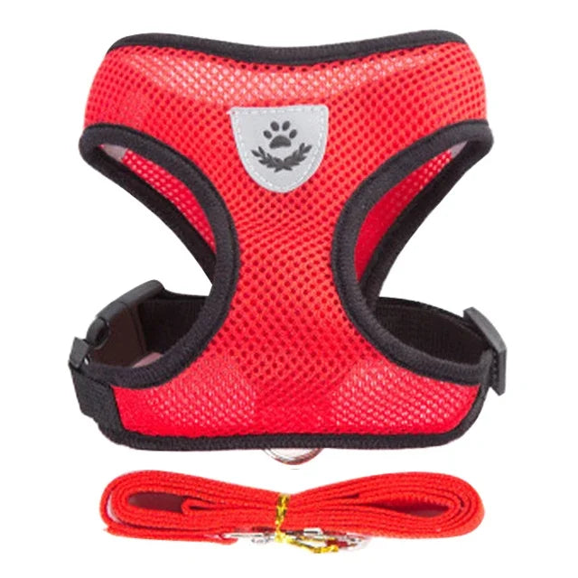 Adjustable Pet Harness & Lead Set