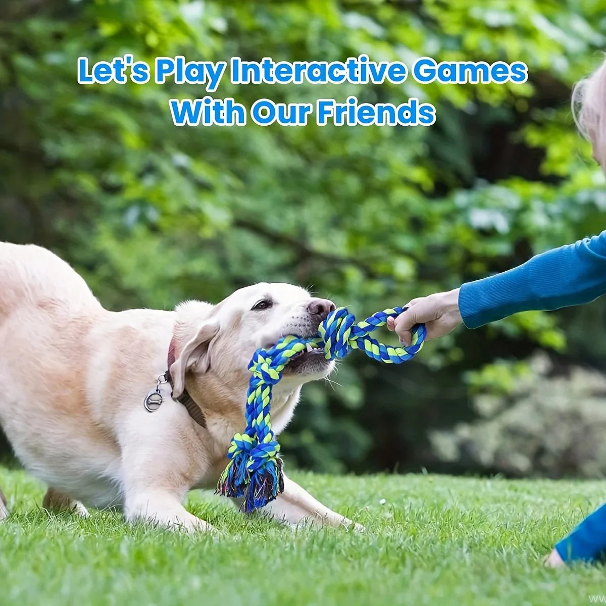 Indestructible Knot Dog Toy