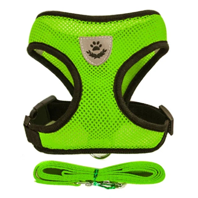 Adjustable Pet Harness & Lead Set