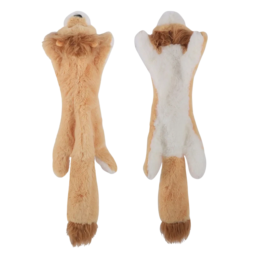 Stuffing-Free Squeaky Dog Toy