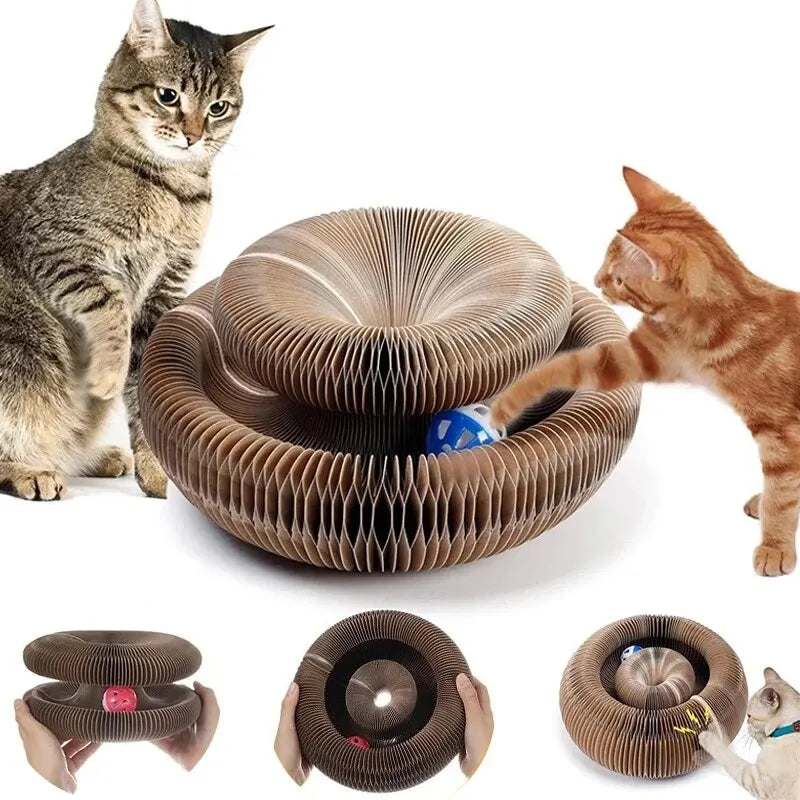 Magic Cat Scratch & Play