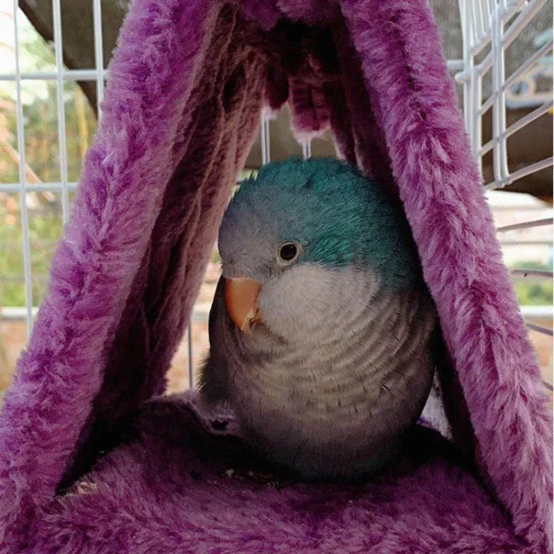 Birdhouse