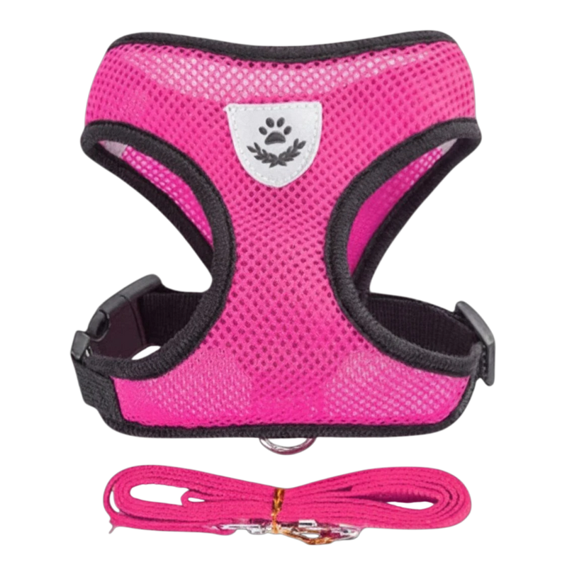 Adjustable Pet Harness & Lead Set
